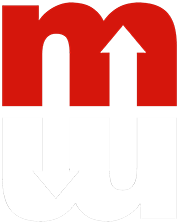 Money Max Account Logo